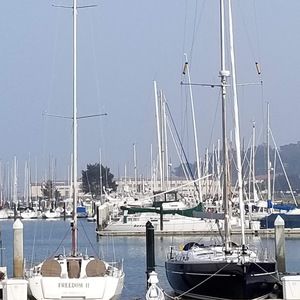 Meet your Posher, Stacey